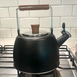 Well Equipped Kitchen Black Matte Stainless Steel Tea Kettle